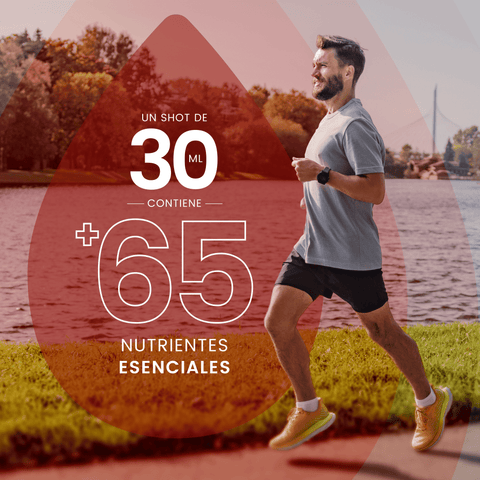 Kit Longevidad 4 LifeBeat +65 Nutrientes escenciales